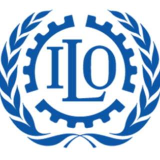 International Labour Organization (ILO)